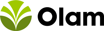 Olam
