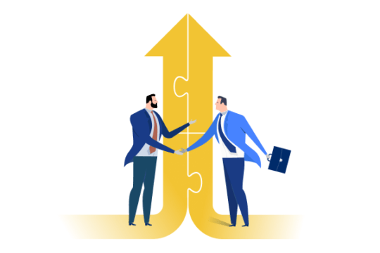 ERP Implementation Consultant