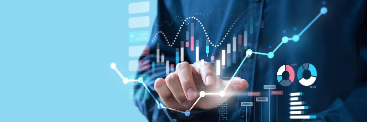 Process Excellence Consultant