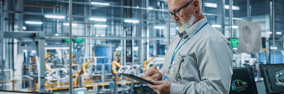 Business Process Automation Consultant