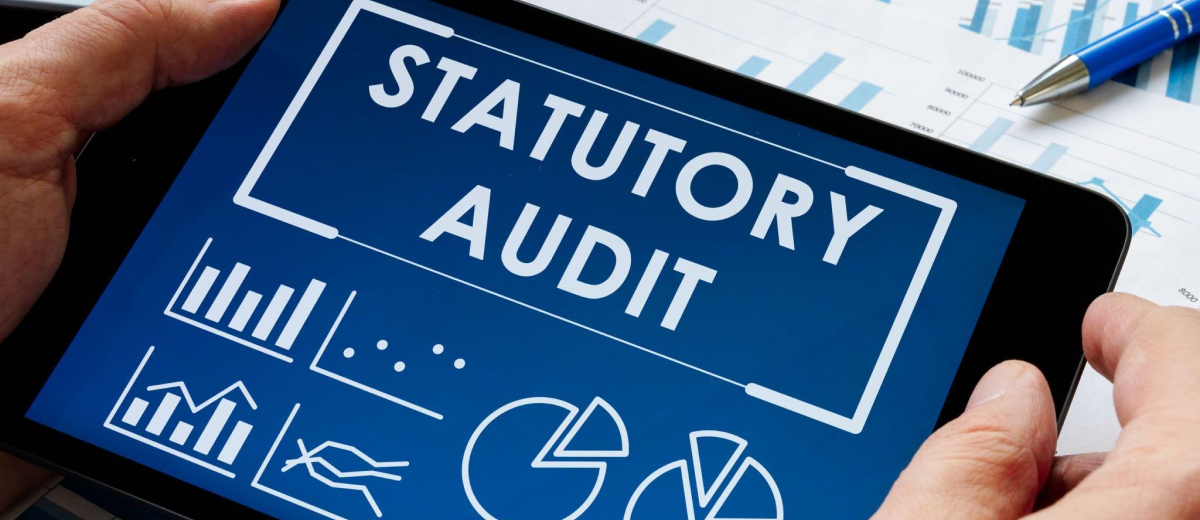 Statutory audit services