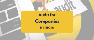 audit for companies in India - PKC