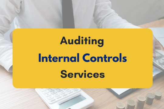 Auditing internal control services- PKC
