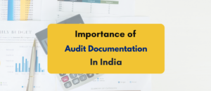 Importance of audit documentation - PKC India