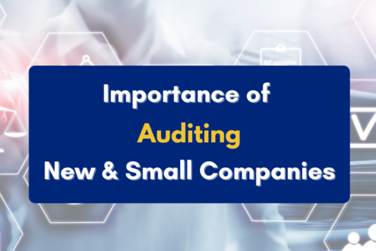importance of audit for new company - PKC