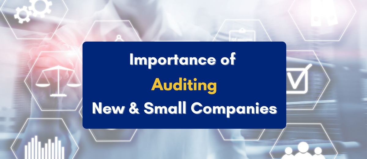 importance of audit for new company - PKC