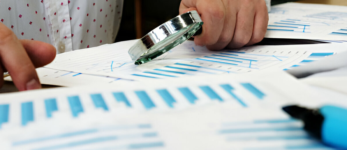 statutory and internal audit