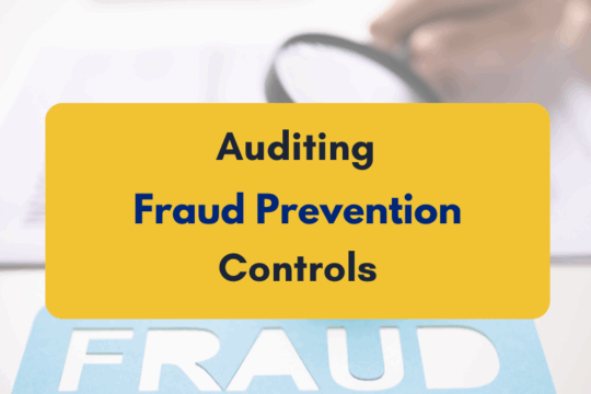 Auditing Fraud Prevention Controls - PKC