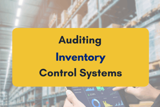 Auditing Inventory Control Systems - PKC