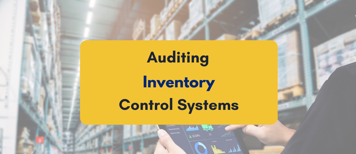 Auditing Inventory Control Systems - PKC