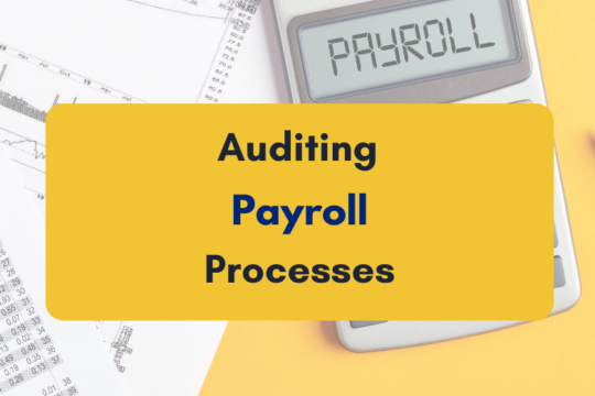 auditing payroll processes - PKC