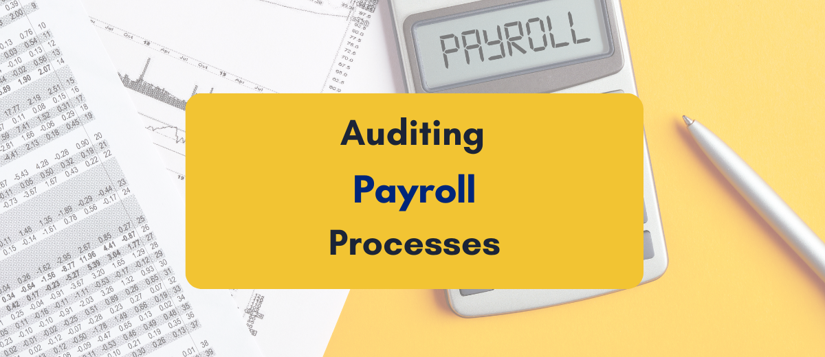 auditing payroll processes - PKC