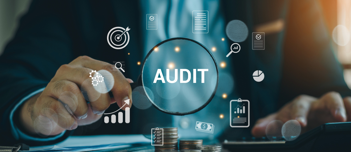 Statutory Audit Services for Mid Size Companies