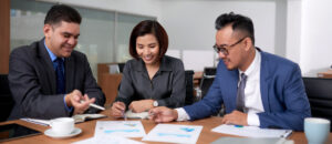 Statutory Audit Services for HUF