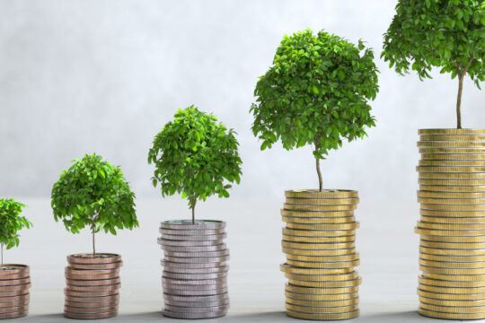 tax planning services