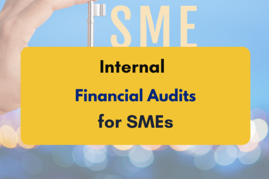 Internal Financial audit for SMEs in India - PKC India