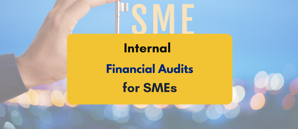 Internal Financial audit for SMEs in India - PKC India