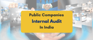 internal audit for public companies - PKC