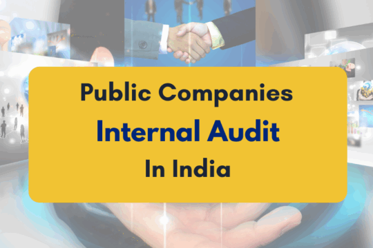 internal audit for public companies - PKC