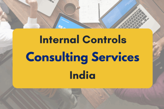 Best Internal Controls Consulting Services in India  - PKC