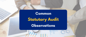 Common Statutory Audit Observations - PKC