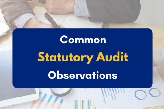 Common Statutory Audit Observations - PKC
