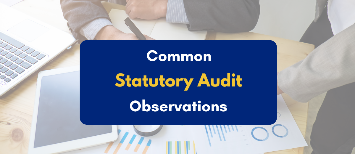 Common Statutory Audit Observations - PKC