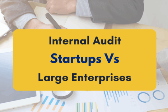Internal Audit for Startups vs Large Enterprises