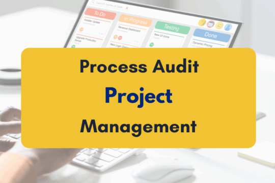 Process Audit in Project Management