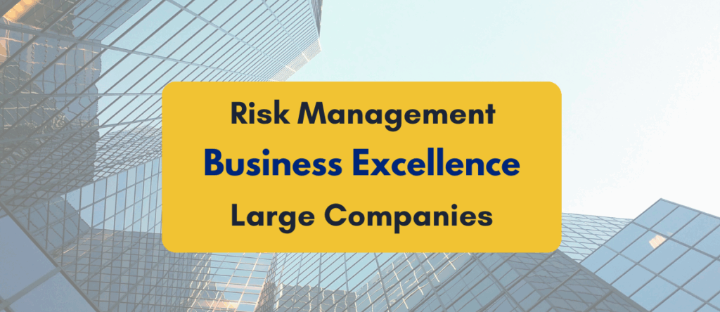 Risk Management As Part Of Business Excellence For Large Companies