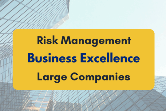 Risk Management, Business Excellence & Large Companies- PKC