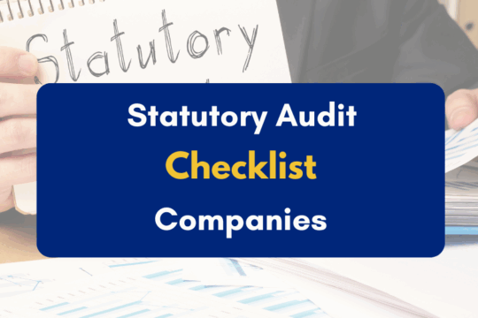 Statutory Audit Checklist for Companies - PKC