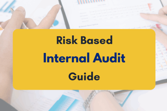 Risk Based Internal Auditing, RBIA India - PKC