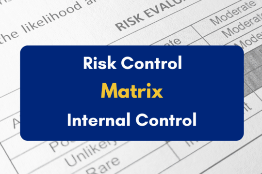 Risk Control Matrix in Internal Control - PKC