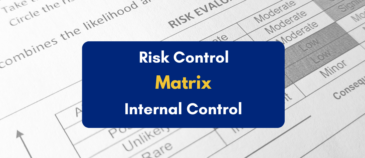 Risk Control Matrix in Internal Control - PKC