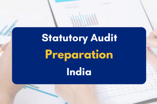 Statutory Audit Preparation India - PKC