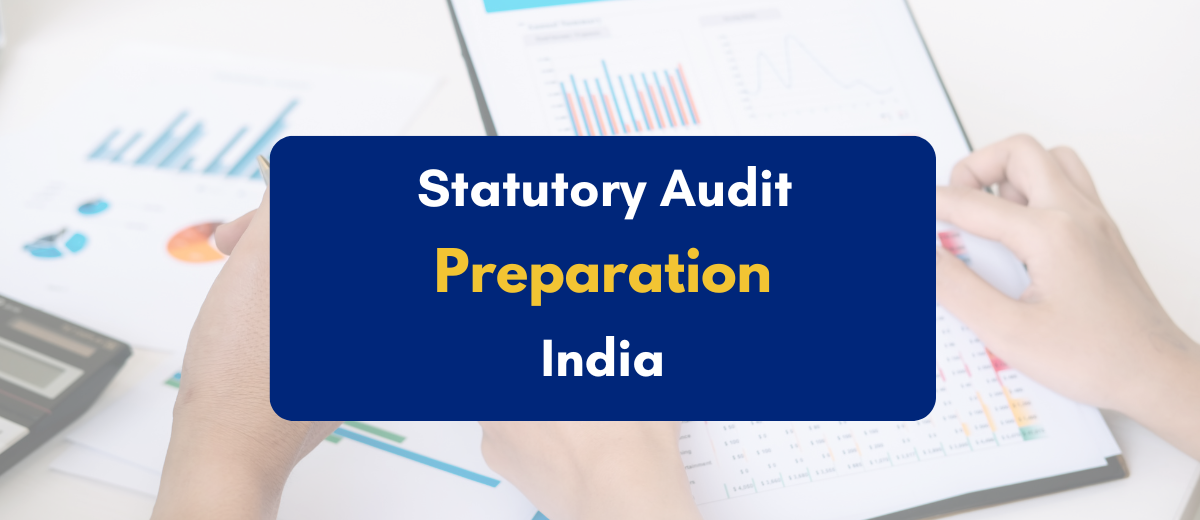 Statutory Audit Preparation India - PKC