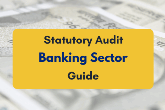 Statutory Audit in Banking Sector- PKC (1)