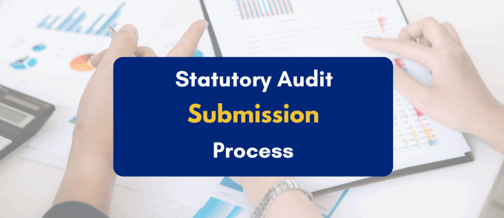 Statutory Audit Report Submission Process: From Finalization to Filing