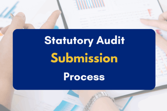 Statutory Audit Submission Process - PKC