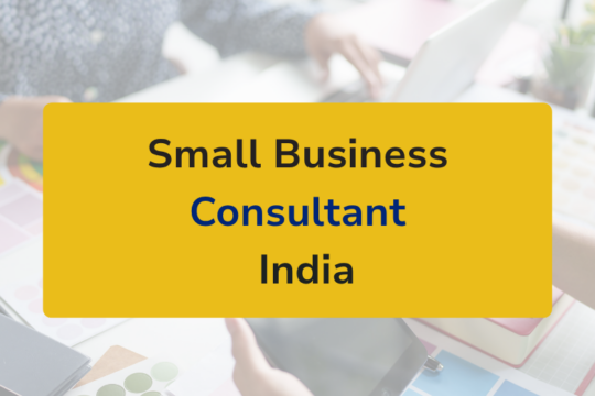 Small Business Consultant in India